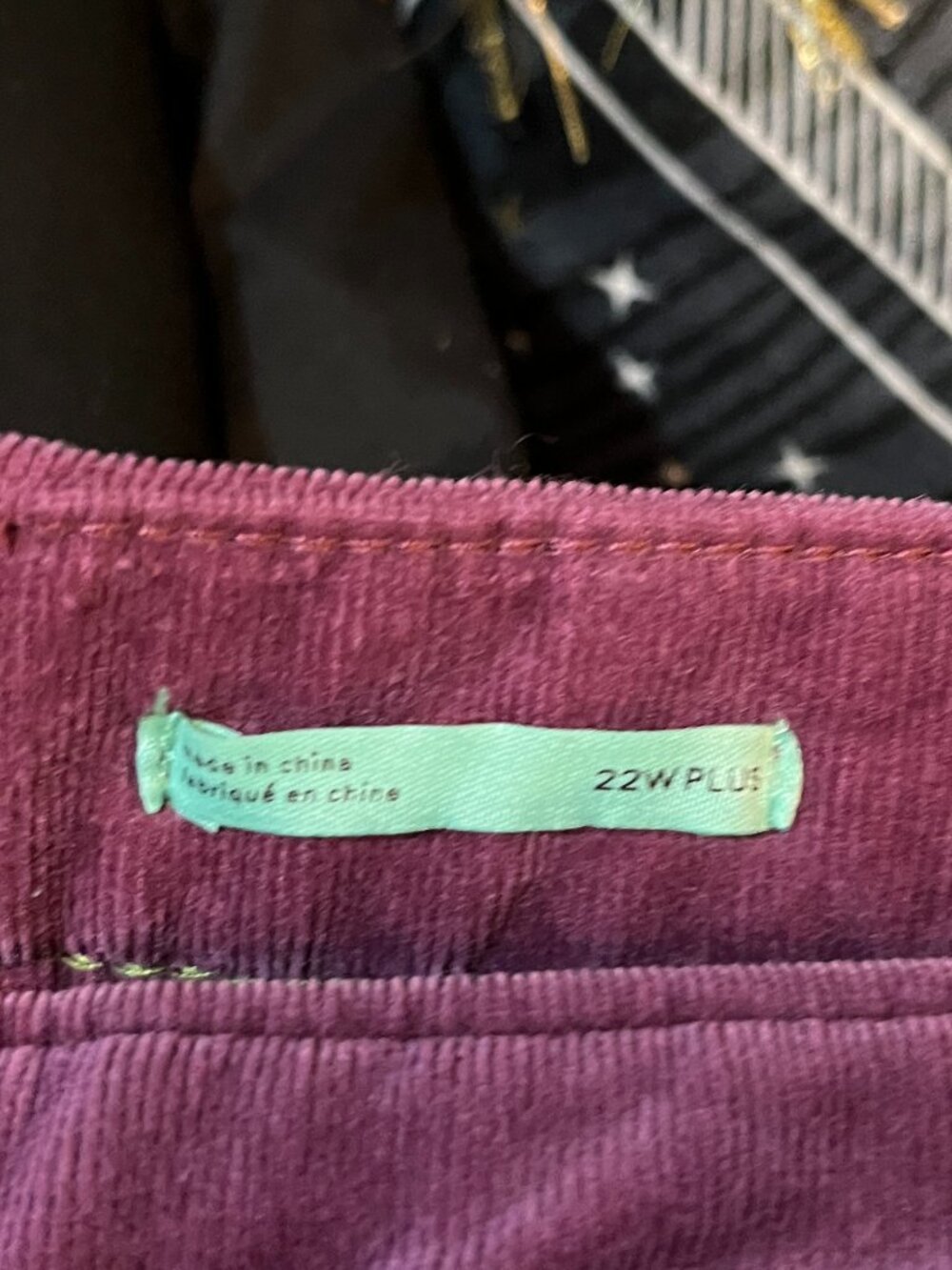 Anthropologie Pilcro Mulberry High Rise Skinny Corduroy Pants 22W NWT - Picture 8 of 9